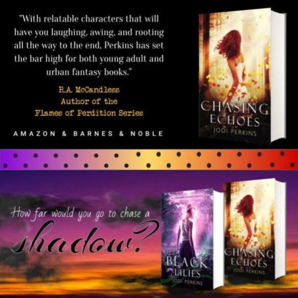 SOLD - New Chasing Echoes Book - Autographed by Author - Picture 2 of 2